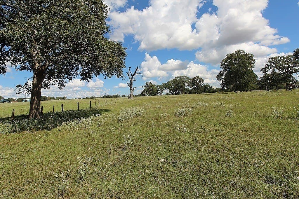 23.89 acres in Fayette County - photo 6