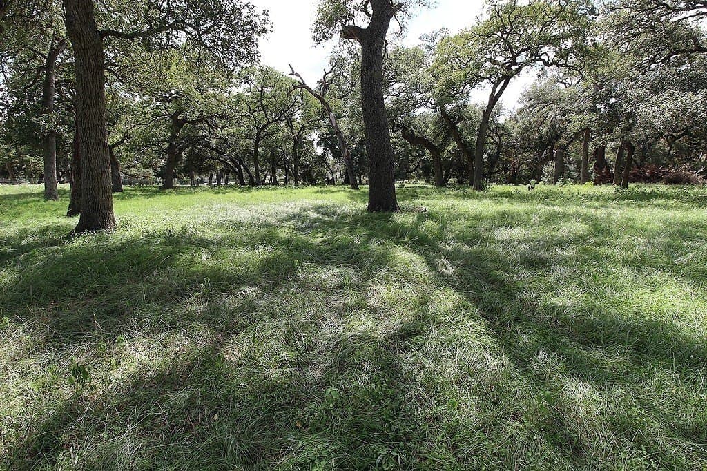 23.89 acres in Fayette County - photo 3