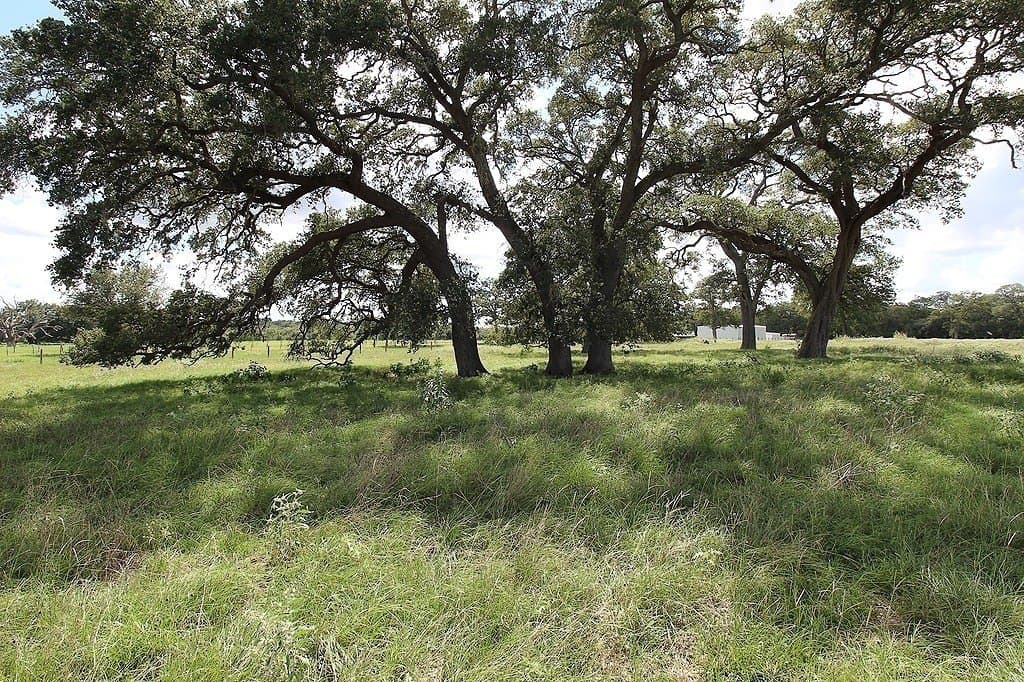 23.89 acres in Fayette County - photo 9
