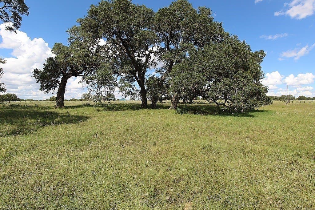 23.89 acres in Fayette County - photo 4
