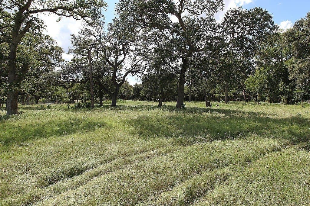 23.89 acres in Fayette County - photo 11