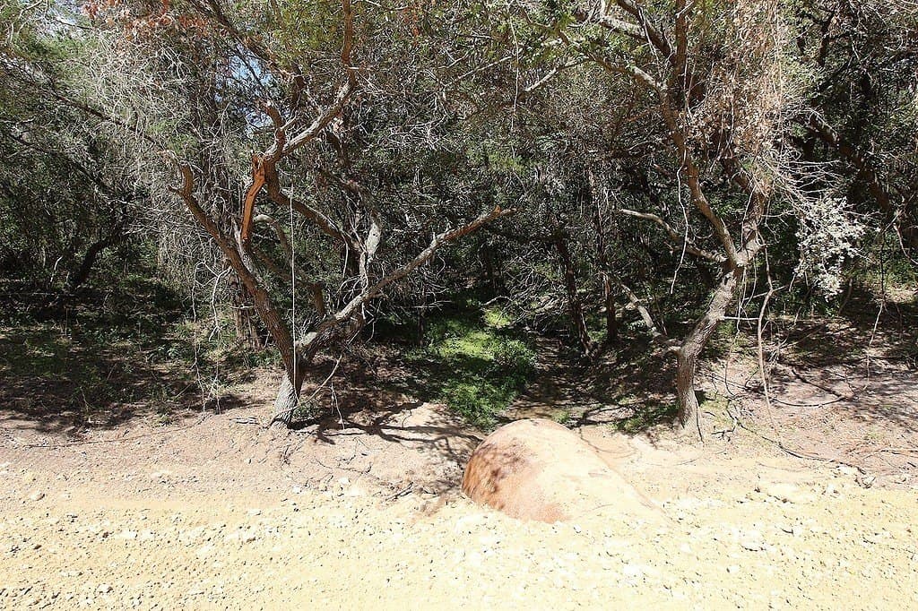 23.89 acres in Fayette County - photo 7
