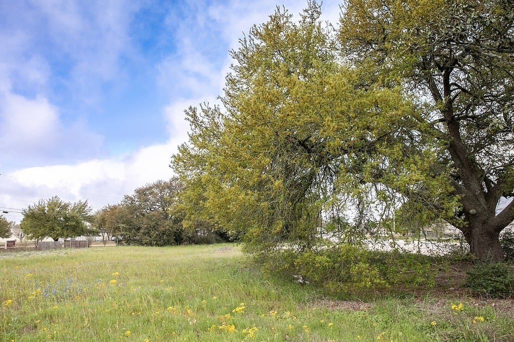 2.45 acres in Waller County gallery image 2