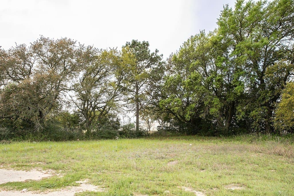 2.45 acres in Waller County gallery image 4
