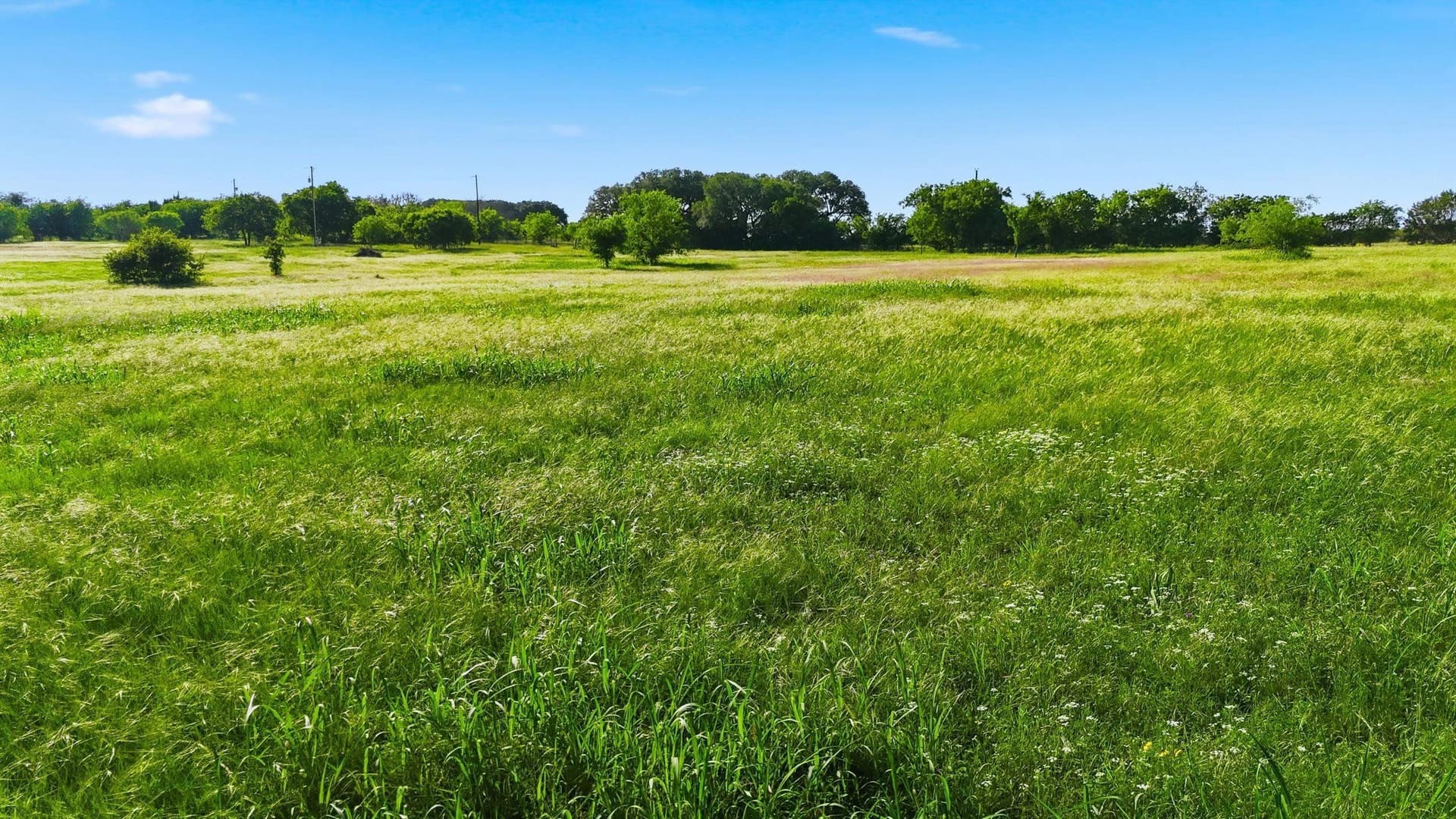 9.13 acres in Burnet County - photo 17