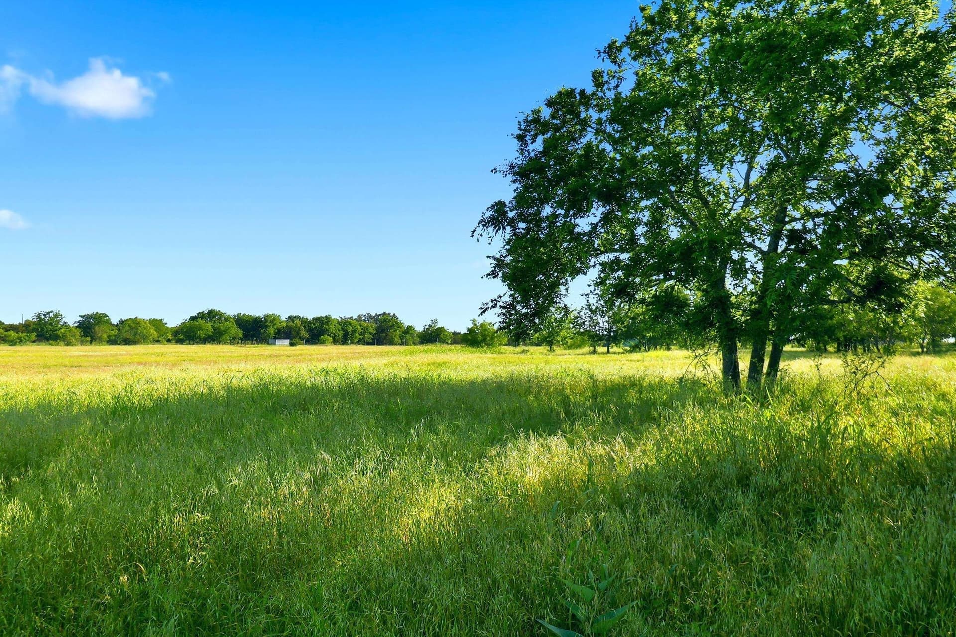 9.13 acres in Burnet County - photo 10