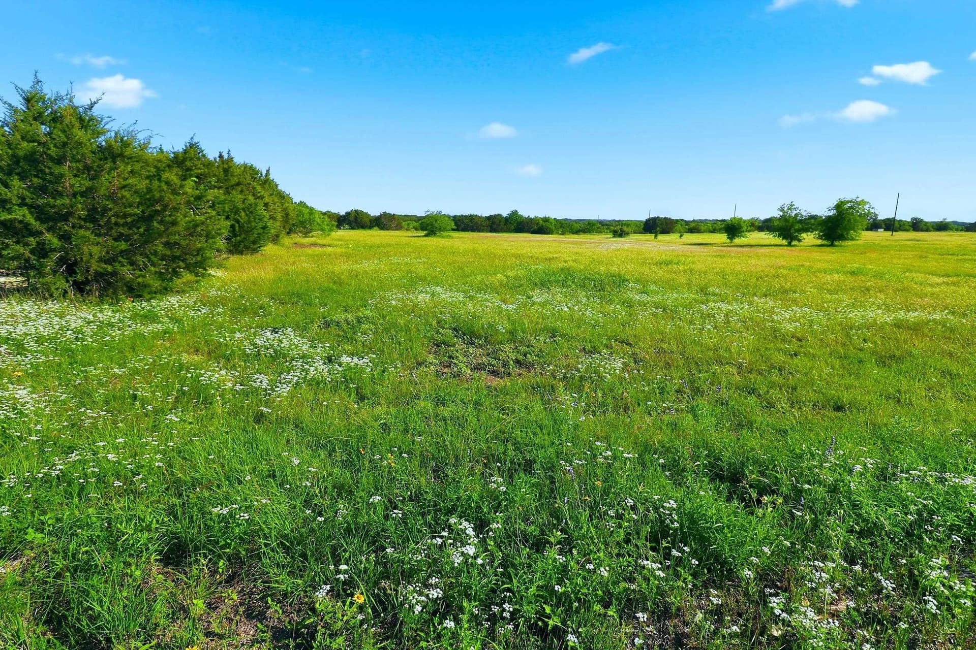 9.13 acres in Burnet County - photo 26