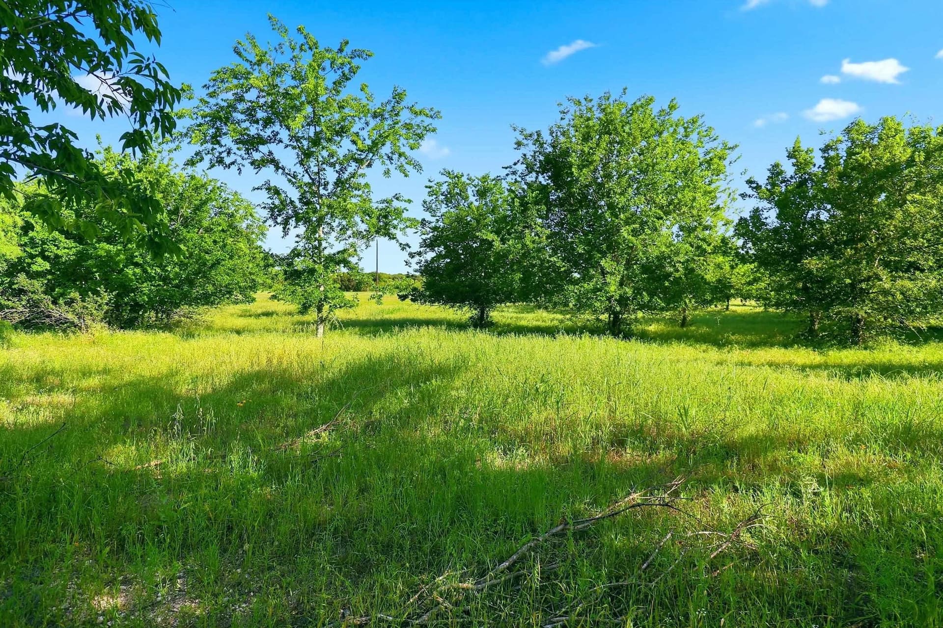 9.13 acres in Burnet County - photo 2