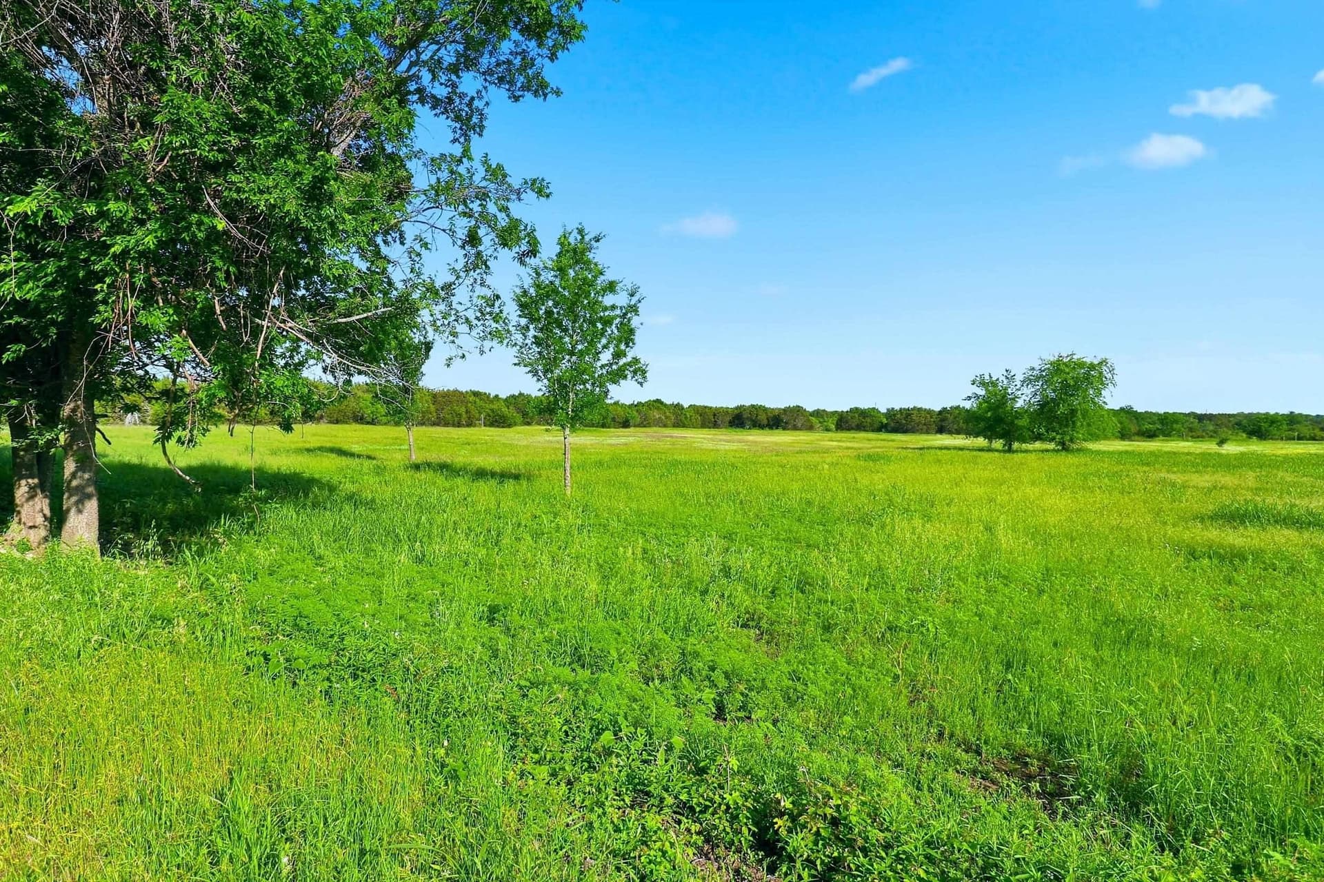 9.13 acres in Burnet County - photo 23