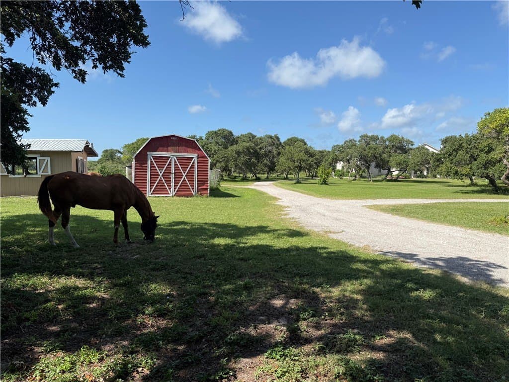 20.06 acres in Nueces County - photo 31