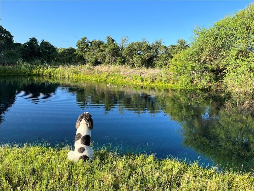 20.06 acres in Nueces County - photo 50