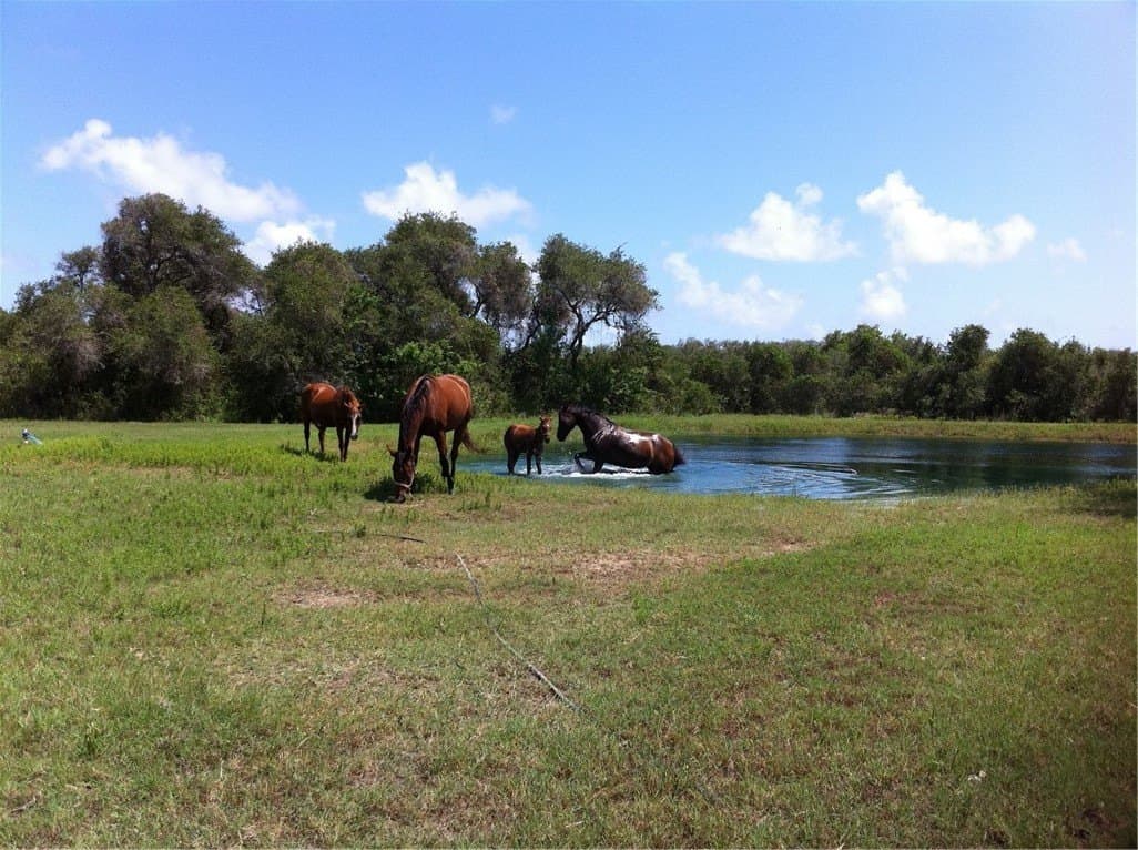 20.06 acres in Nueces County - photo 45