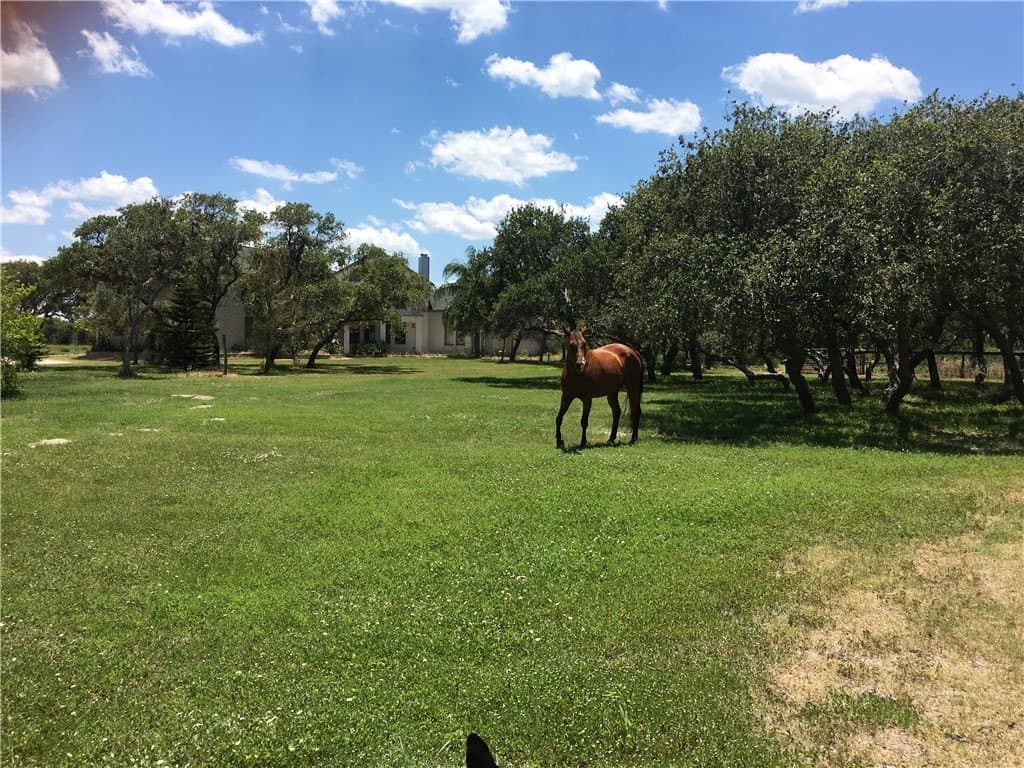 20.06 acres in Nueces County - photo 42