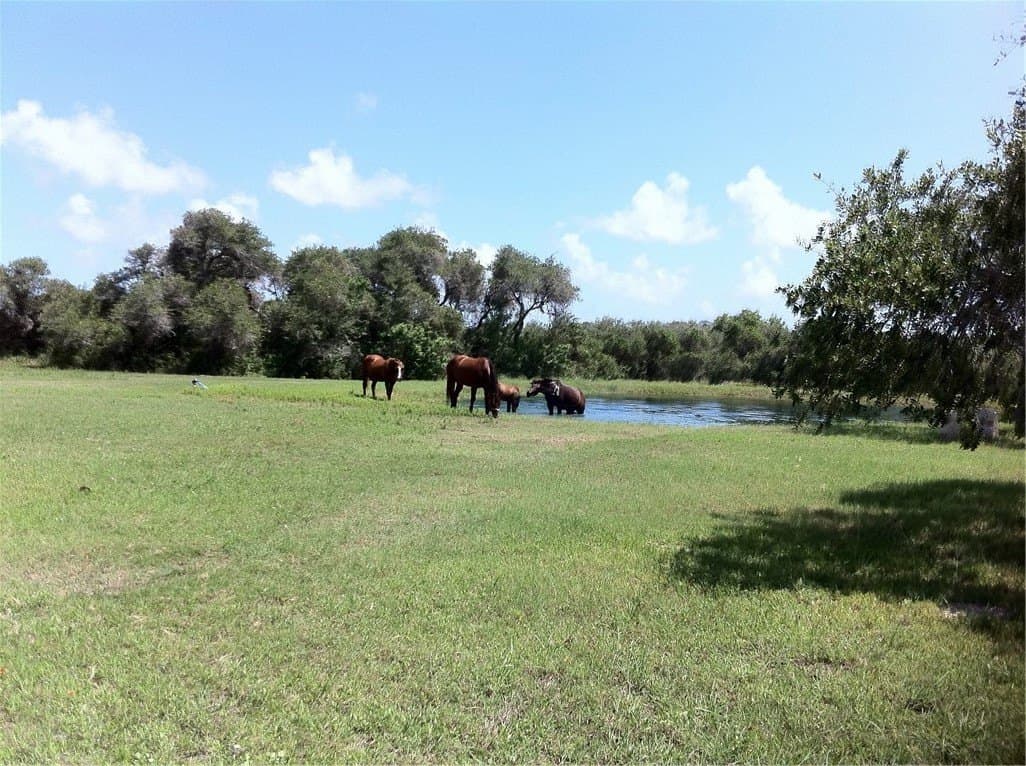 20.06 acres in Nueces County - photo 44