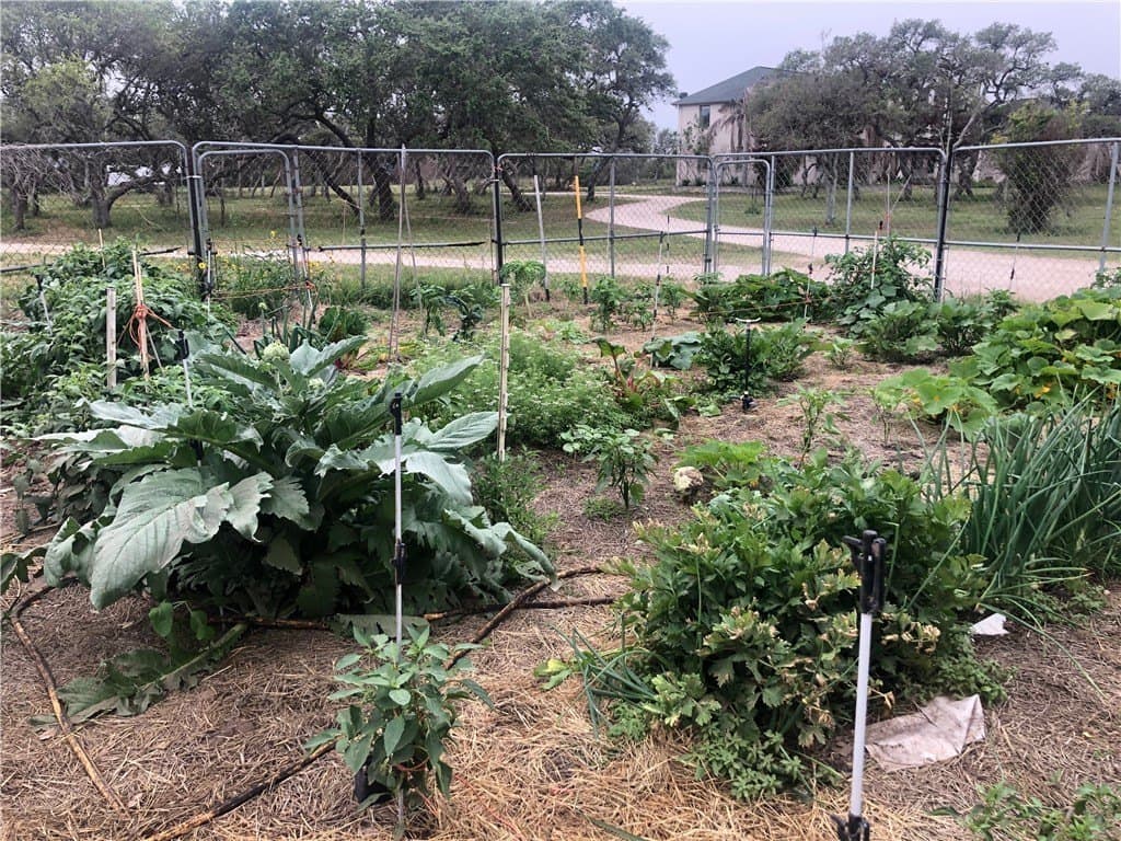 20.06 acres in Nueces County - photo 46