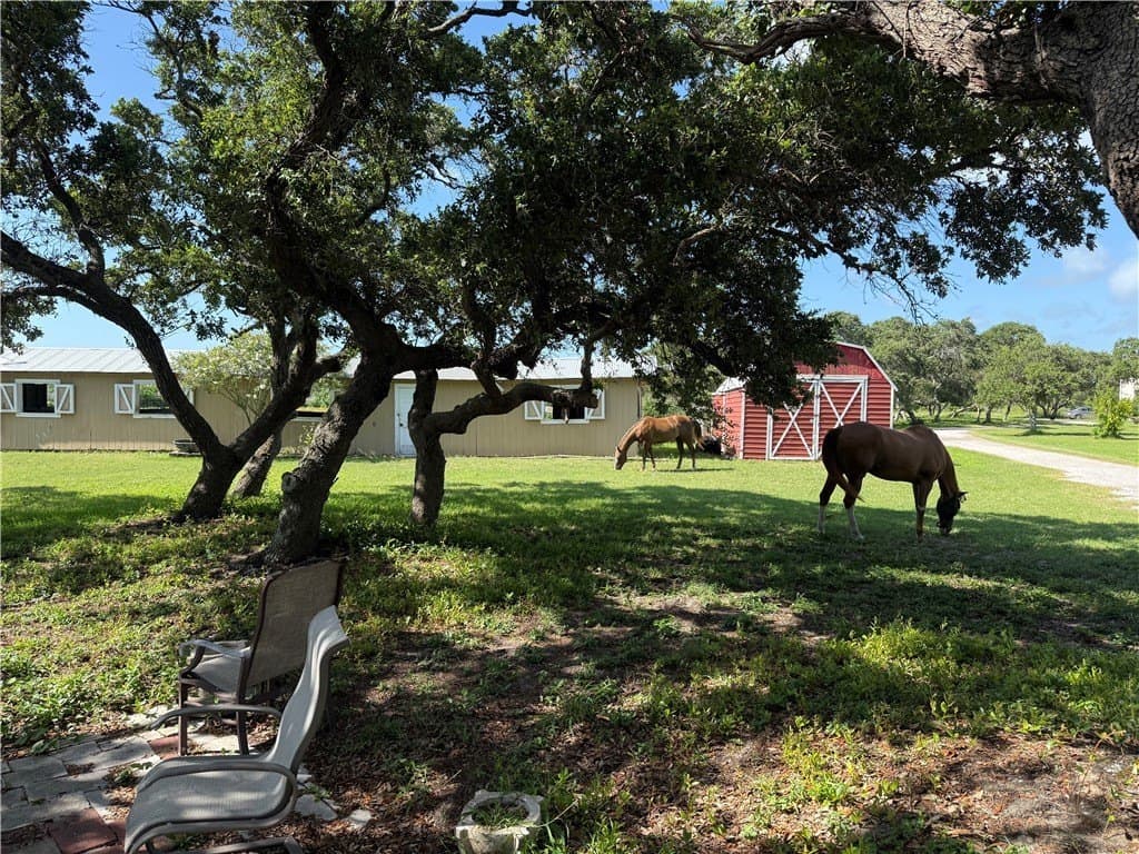 20.06 acres in Nueces County - photo 41