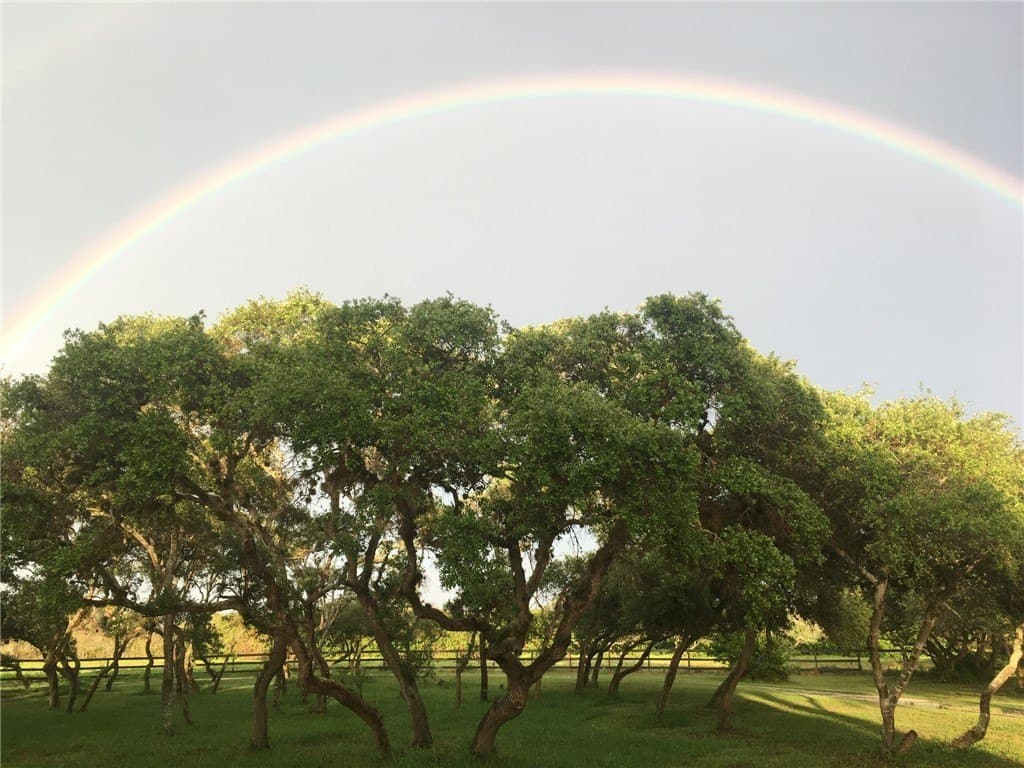 20.06 acres in Nueces County - photo 43