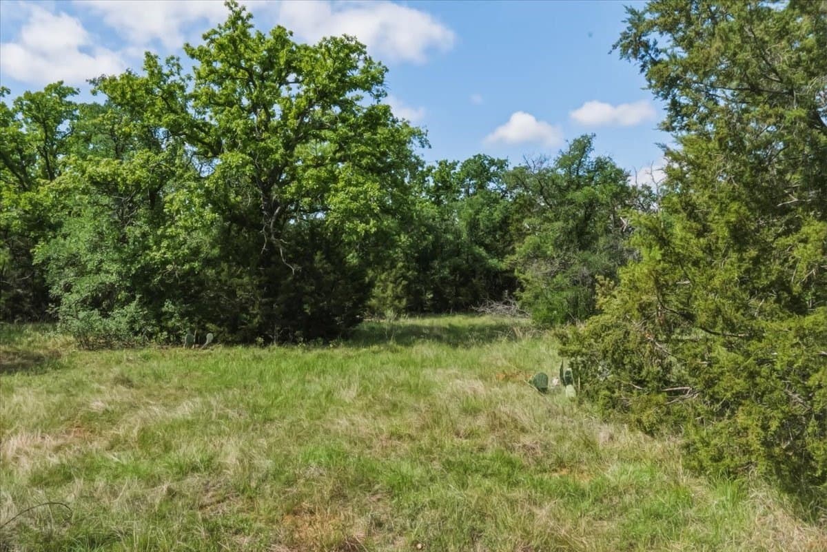 11.17 acres in Palo Pinto County - photo 7