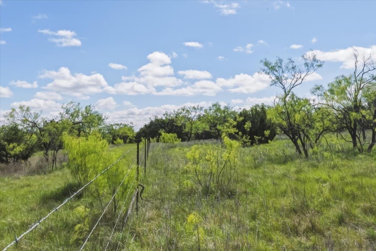 11.17 acres in Palo Pinto County - photo 8