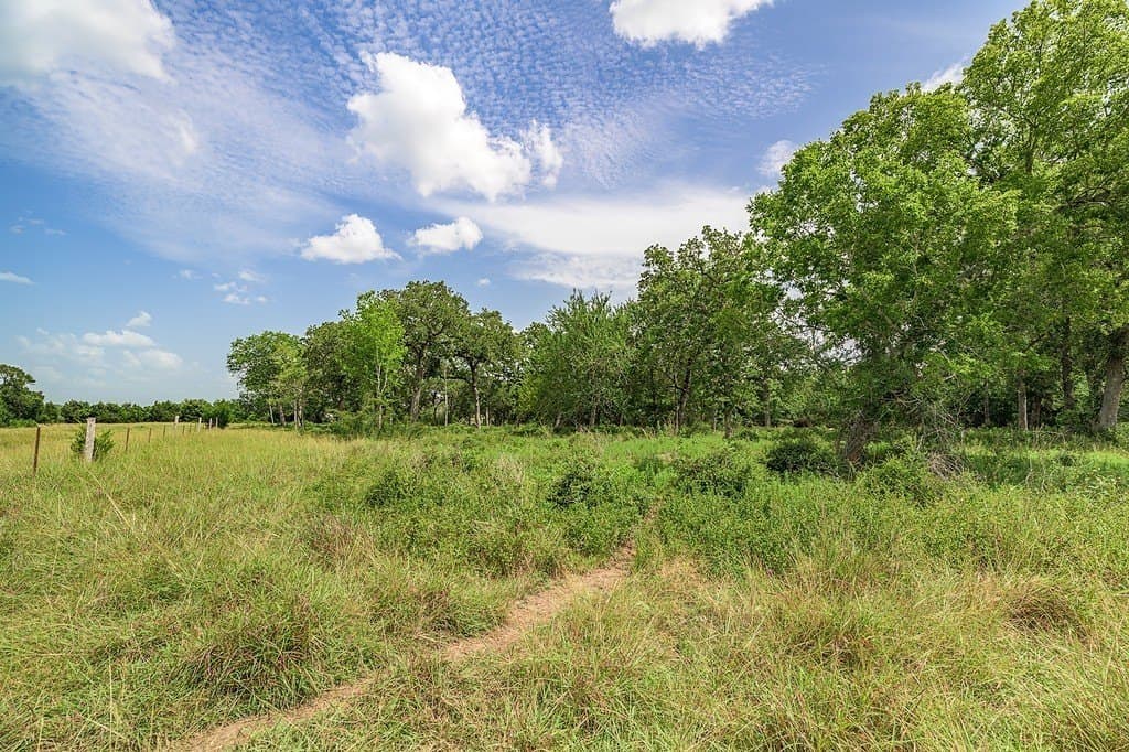 7 acres in Fayette County - photo 3