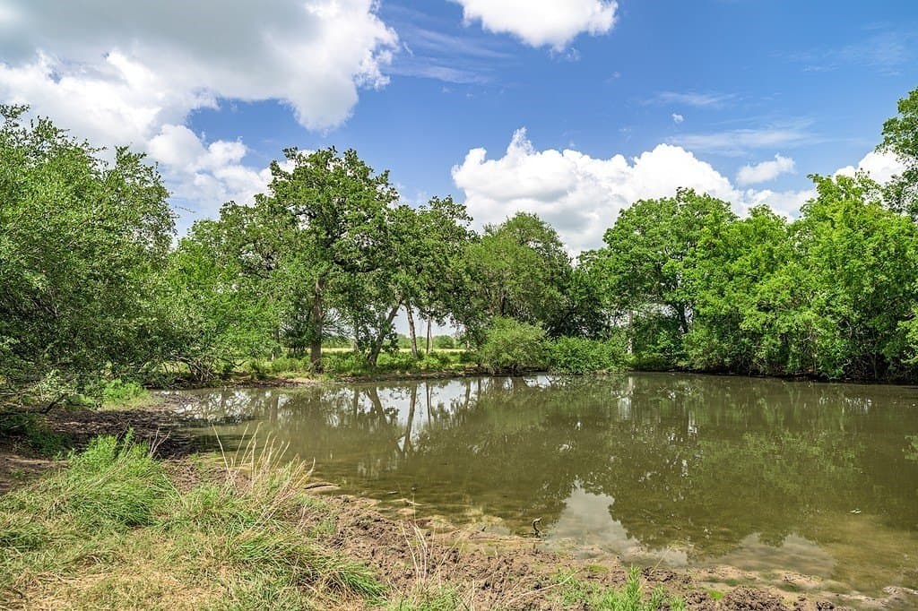 7 acres in Fayette County - photo 4