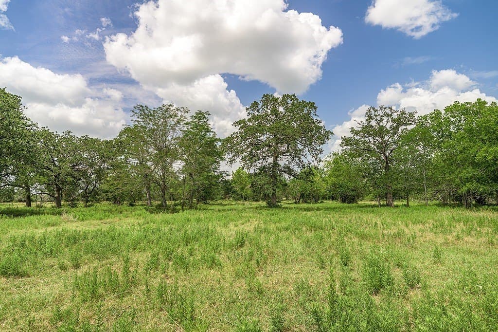 7 acres in Fayette County - photo 11
