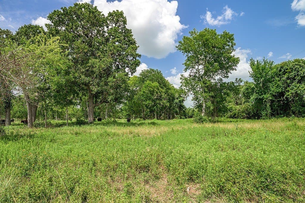 7 acres in Fayette County - photo 2