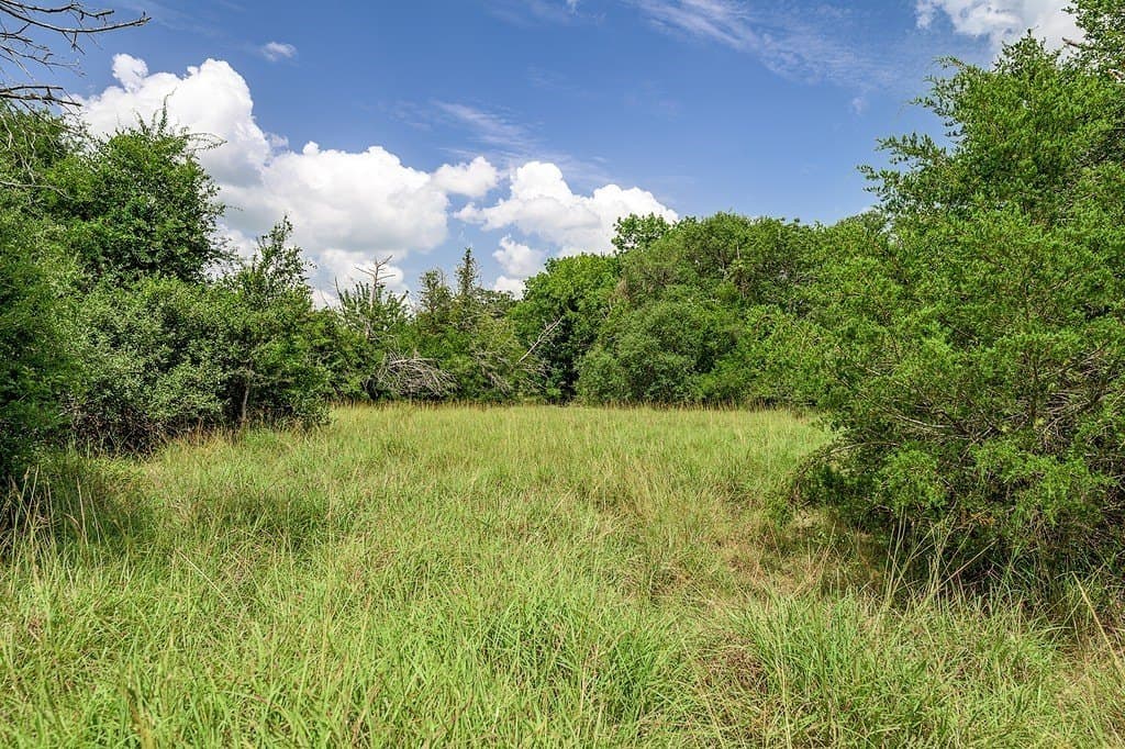 7 acres in Fayette County - photo 12