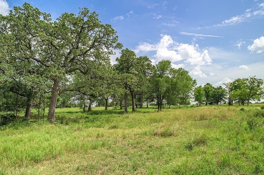 7 acres in Fayette County - photo 10