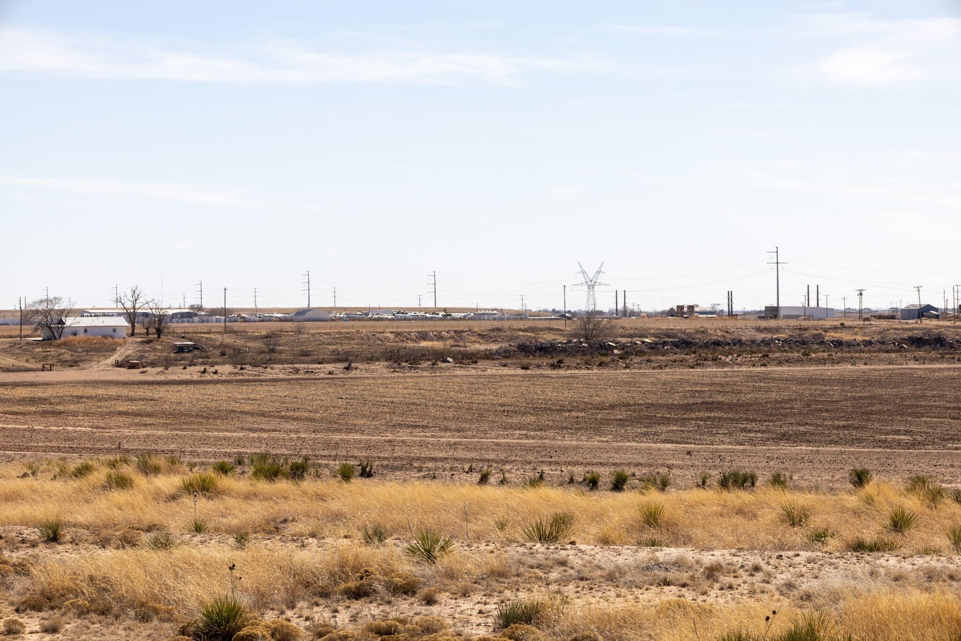 279.38 acres in Lubbock County gallery image 4