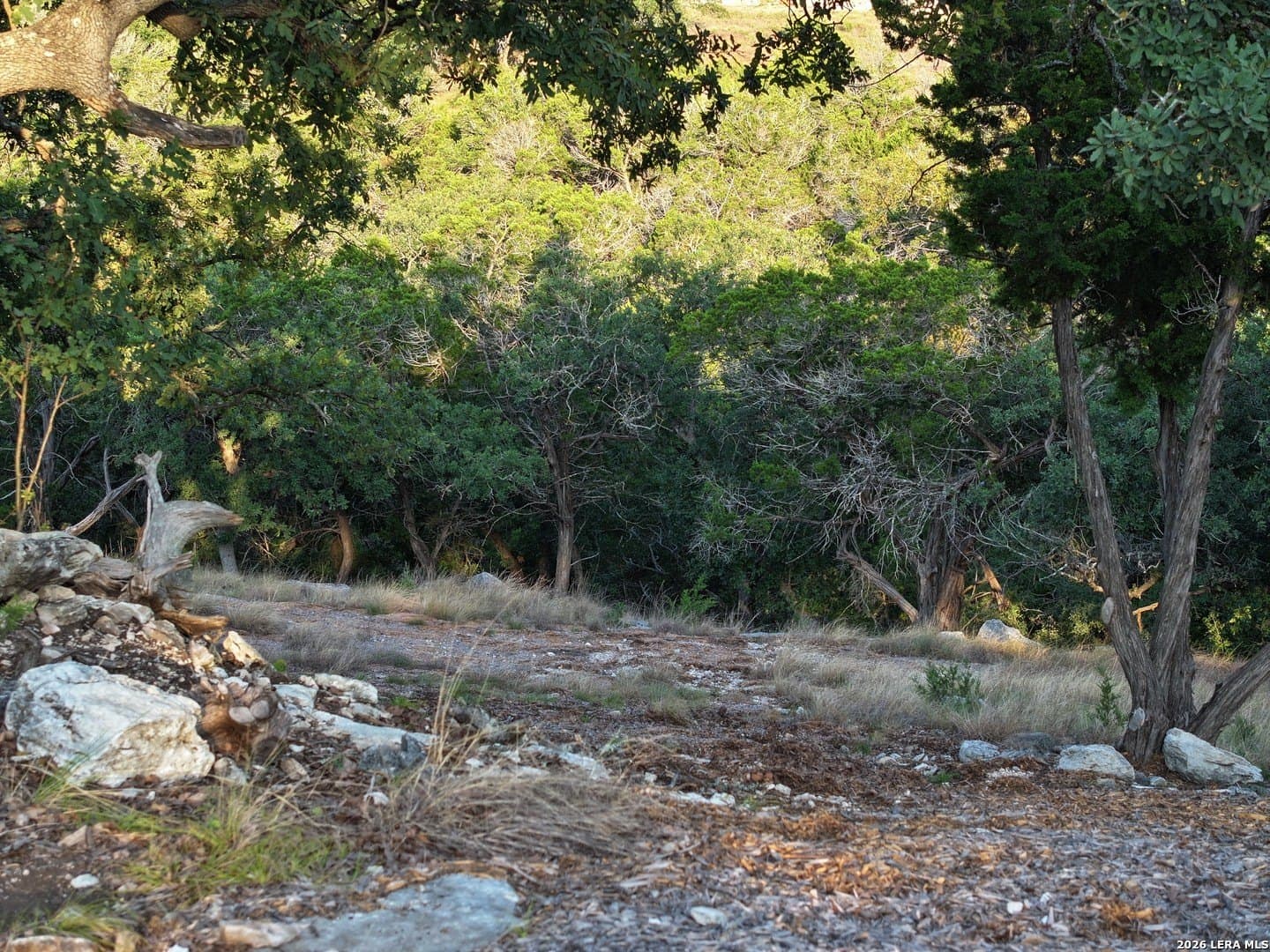 12.33 acres in Gillespie County - photo 15