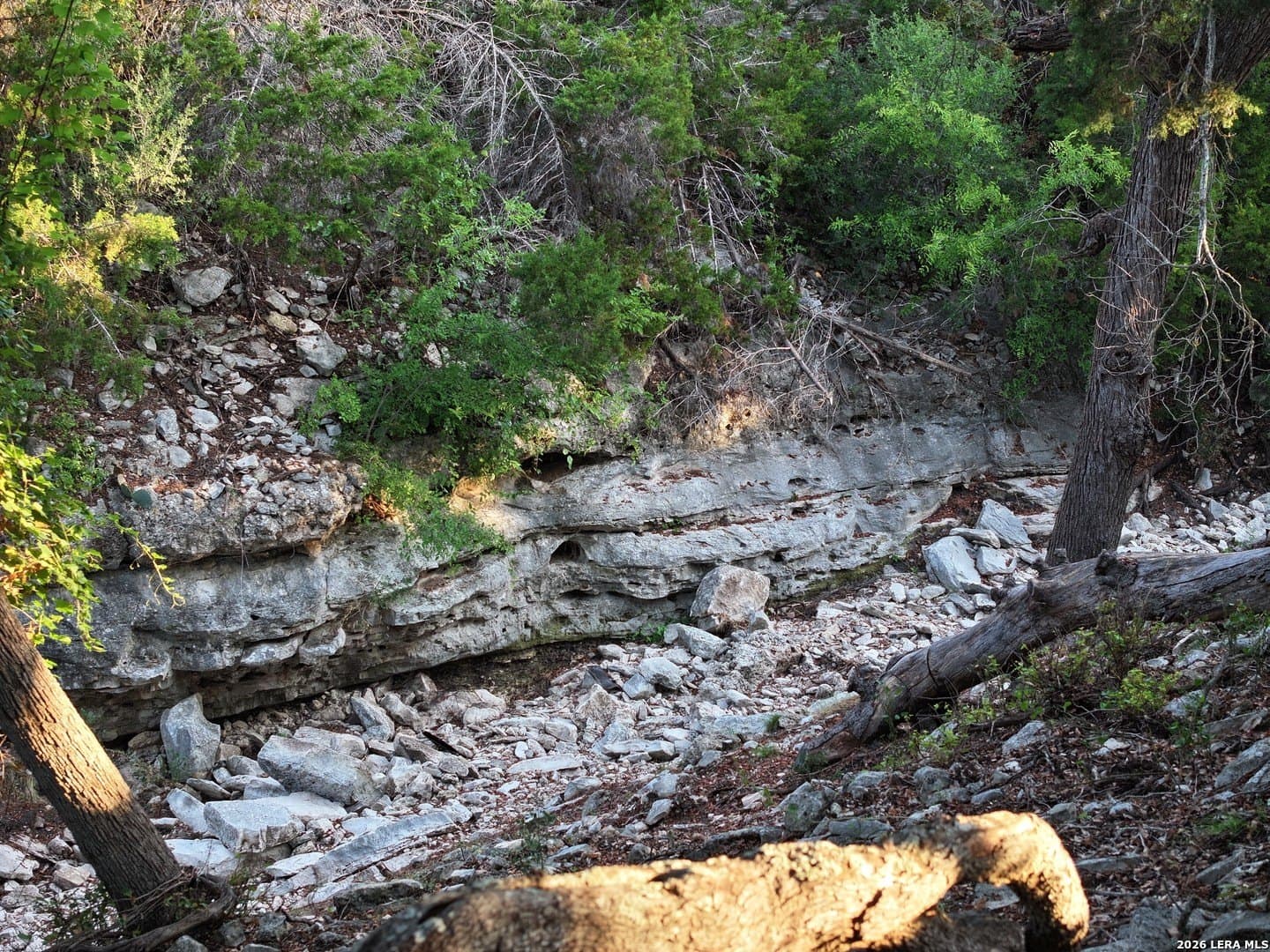 12.33 acres in Gillespie County - photo 17