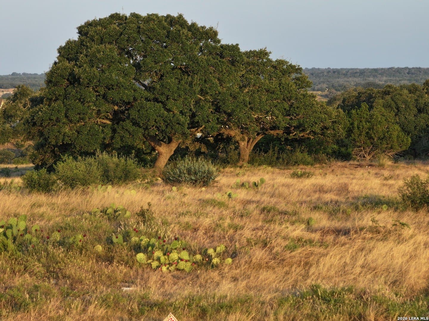 12.33 acres in Gillespie County - photo 7