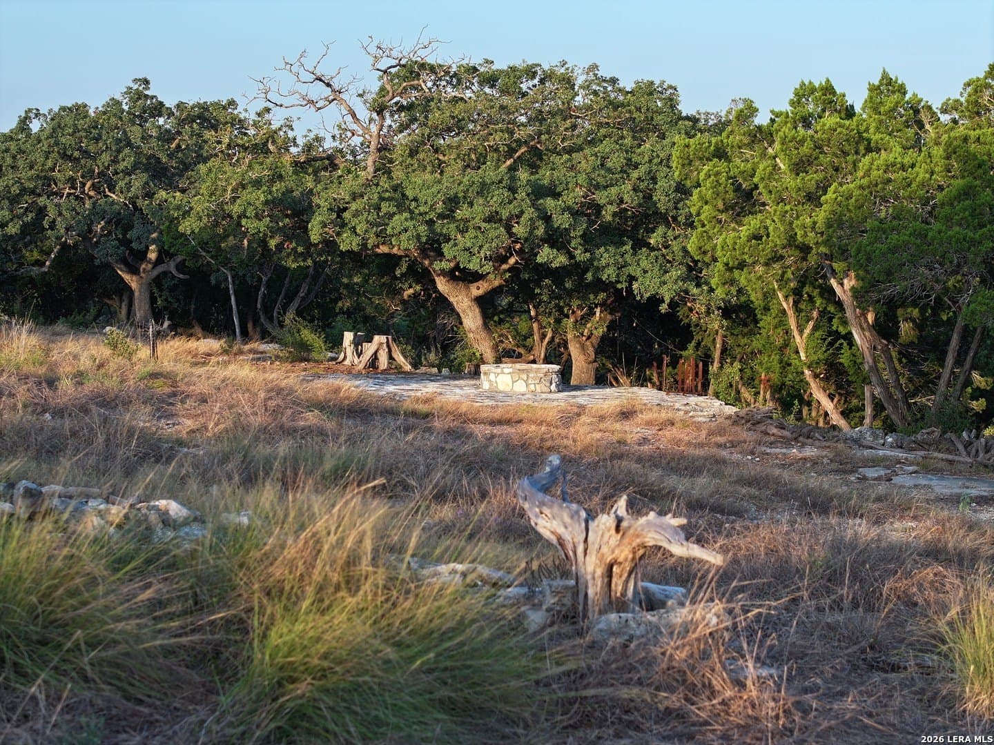 12.33 acres in Gillespie County - photo 11