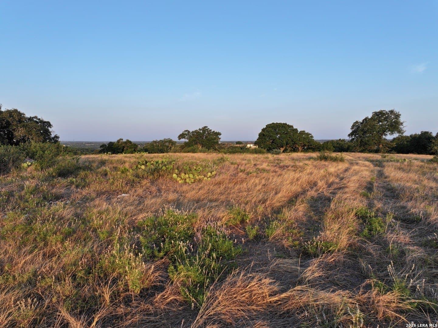 12.33 acres in Gillespie County - photo 6