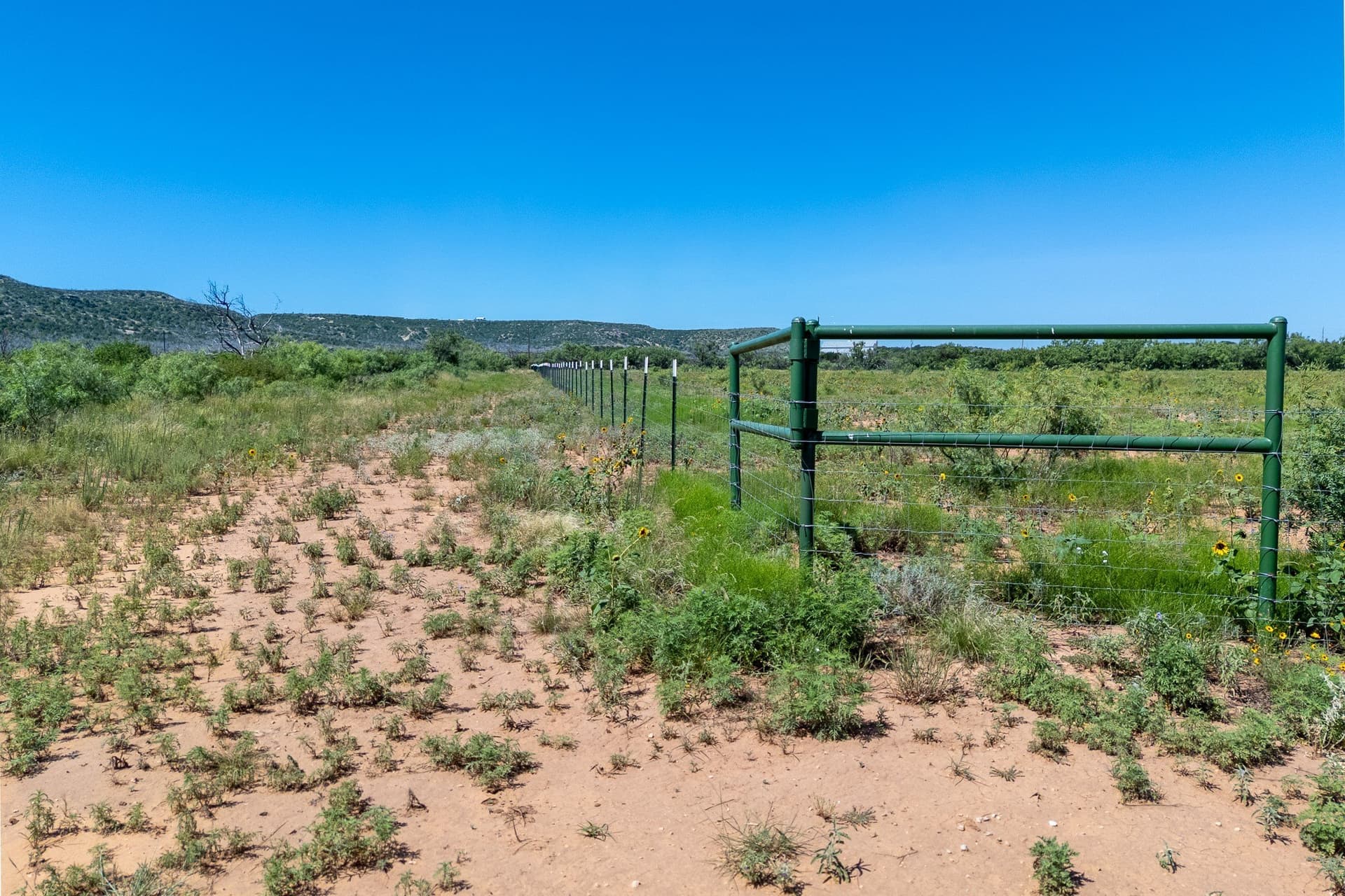 11.85 acres in Taylor County - photo 6
