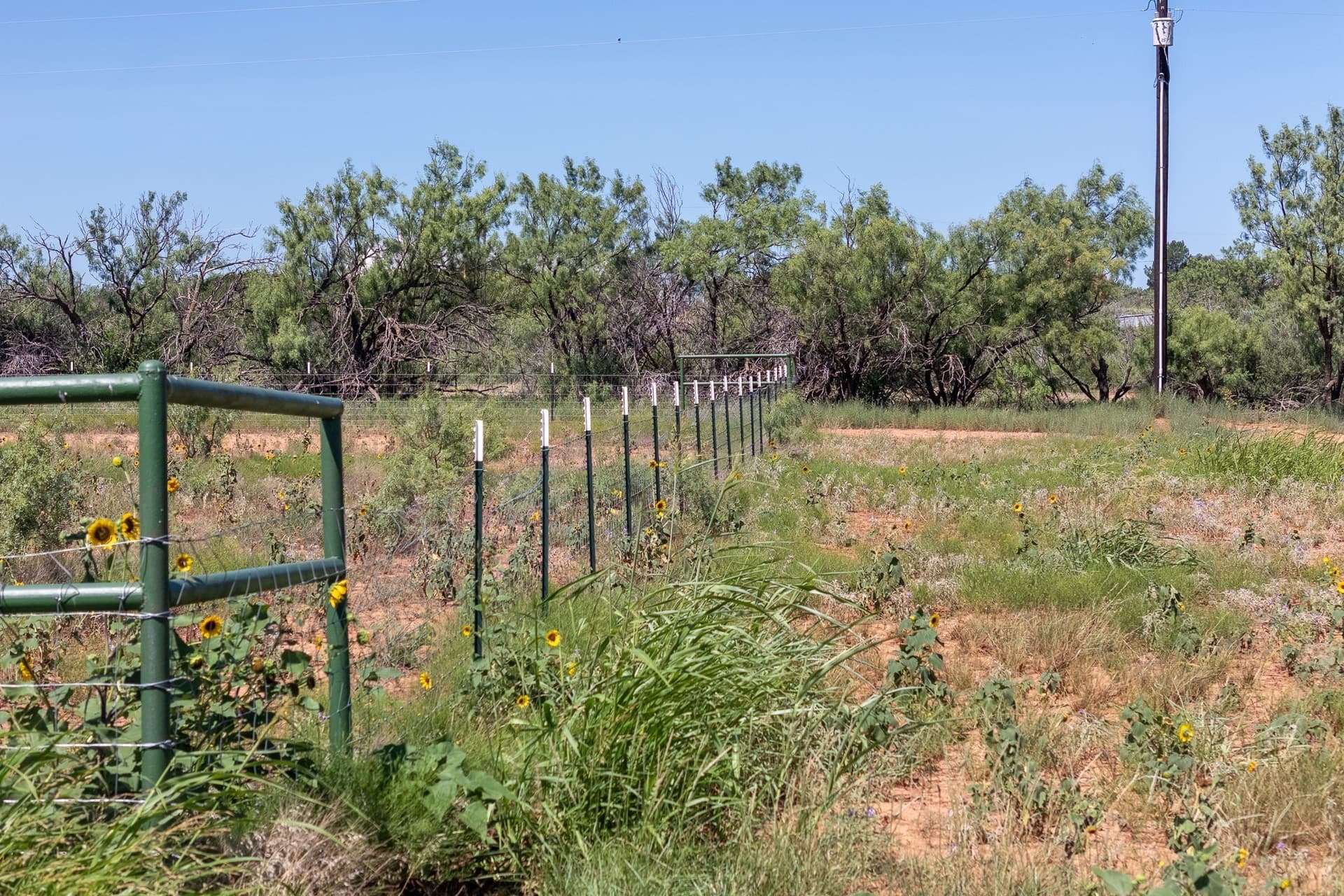 11.85 acres in Taylor County - photo 9