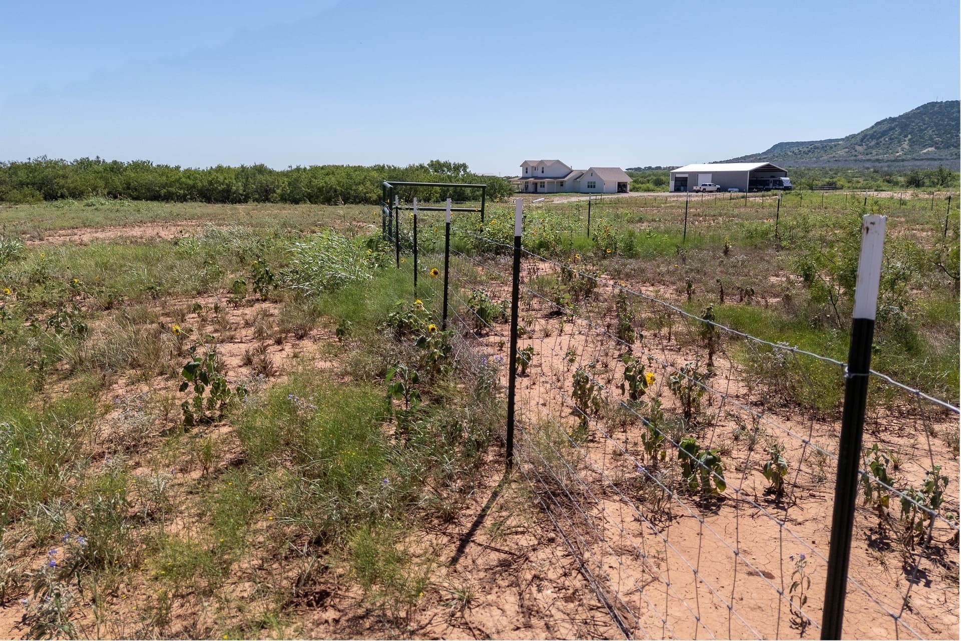 11.85 acres in Taylor County - photo 15