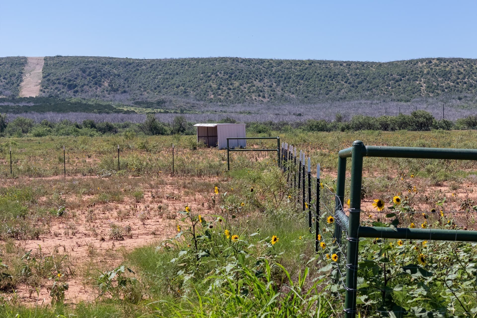 11.85 acres in Taylor County - photo 8