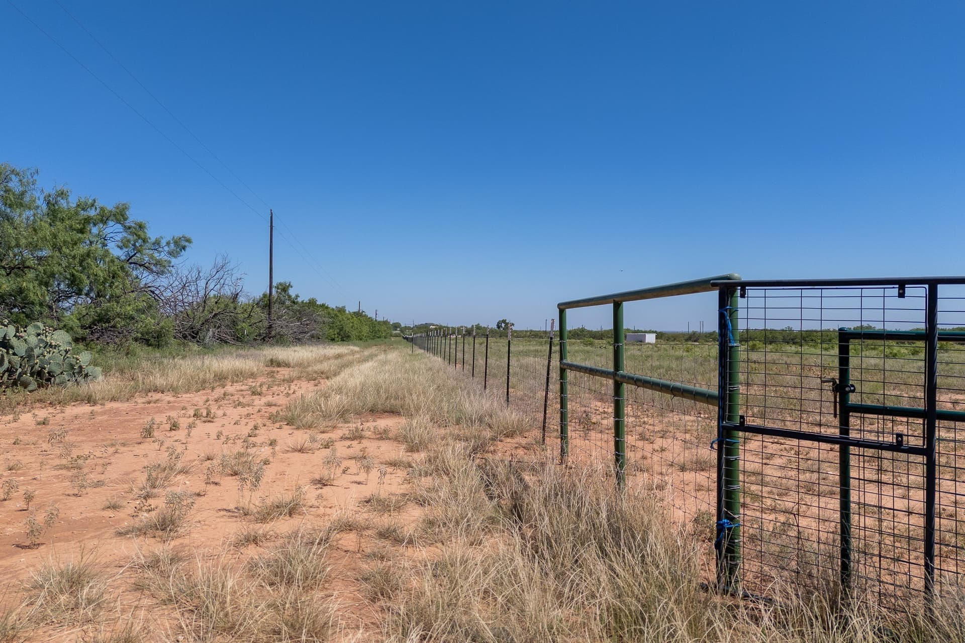 11.85 acres in Taylor County - photo 2