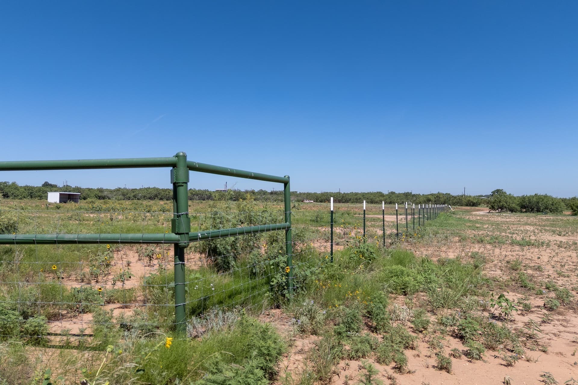 11.85 acres in Taylor County - photo 5