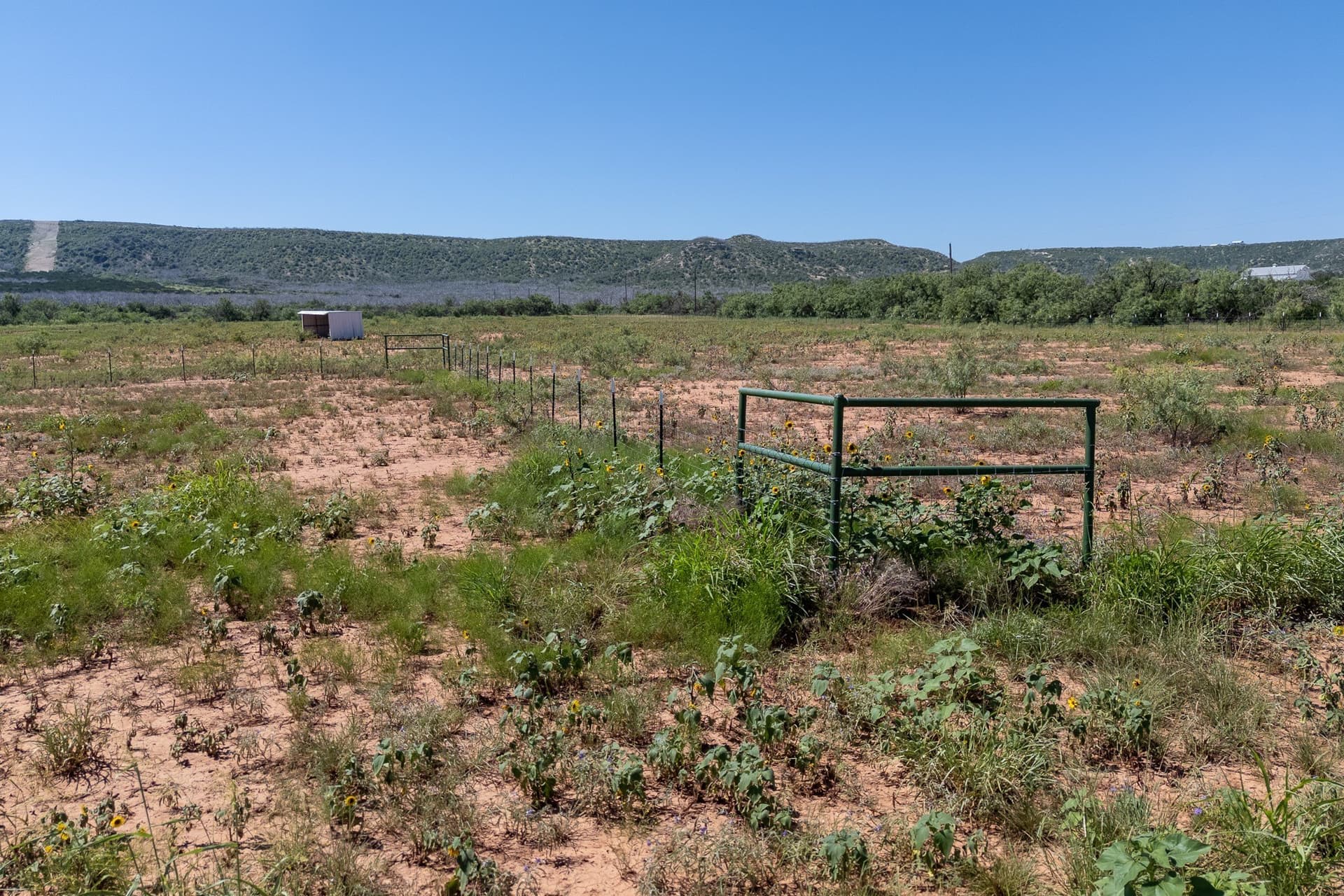 11.85 acres in Taylor County - photo 11