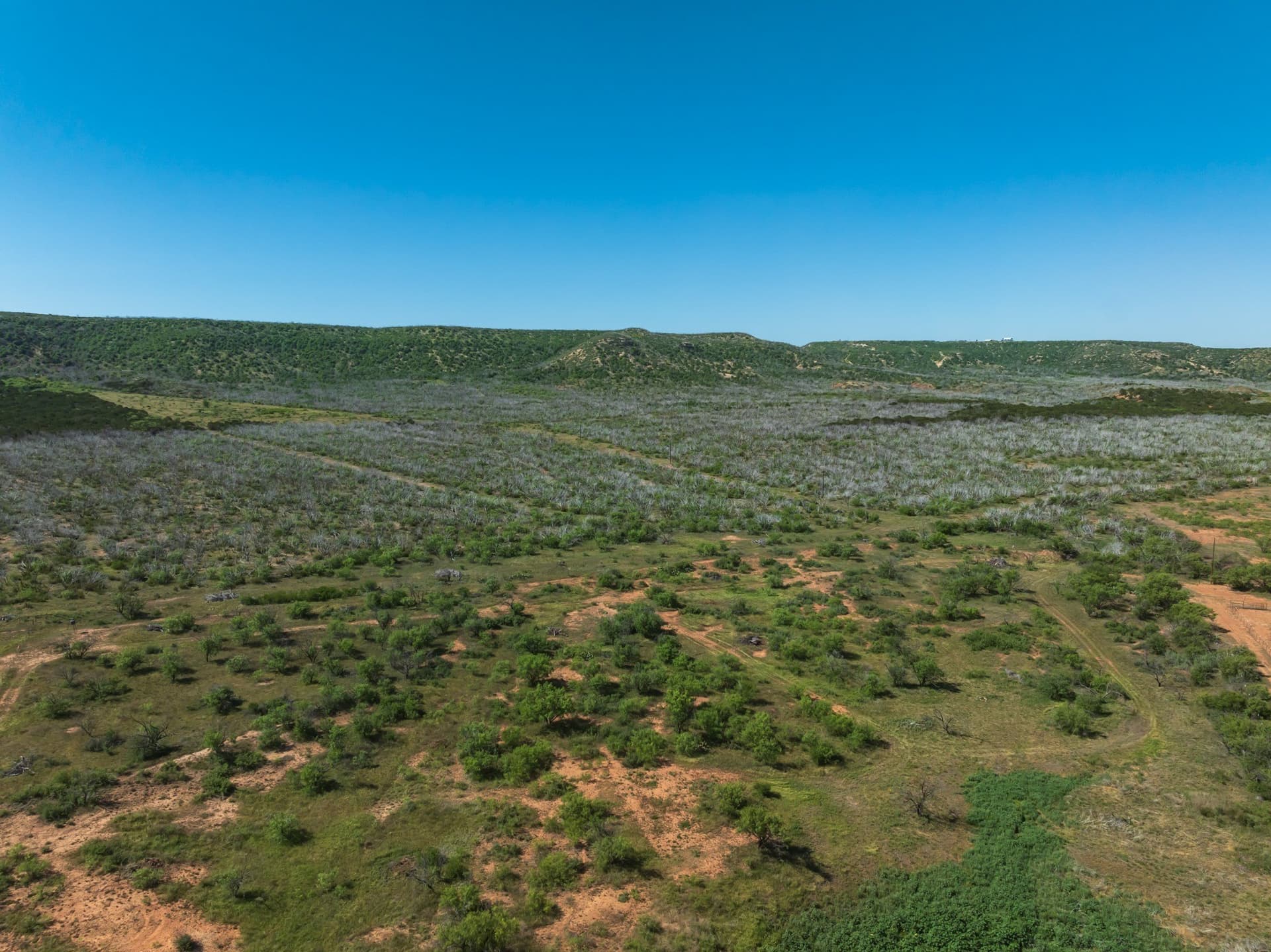 11.85 acres in Taylor County gallery image 3