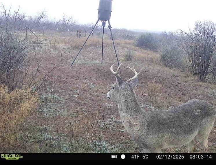 11.85 acres in Taylor County - photo 37