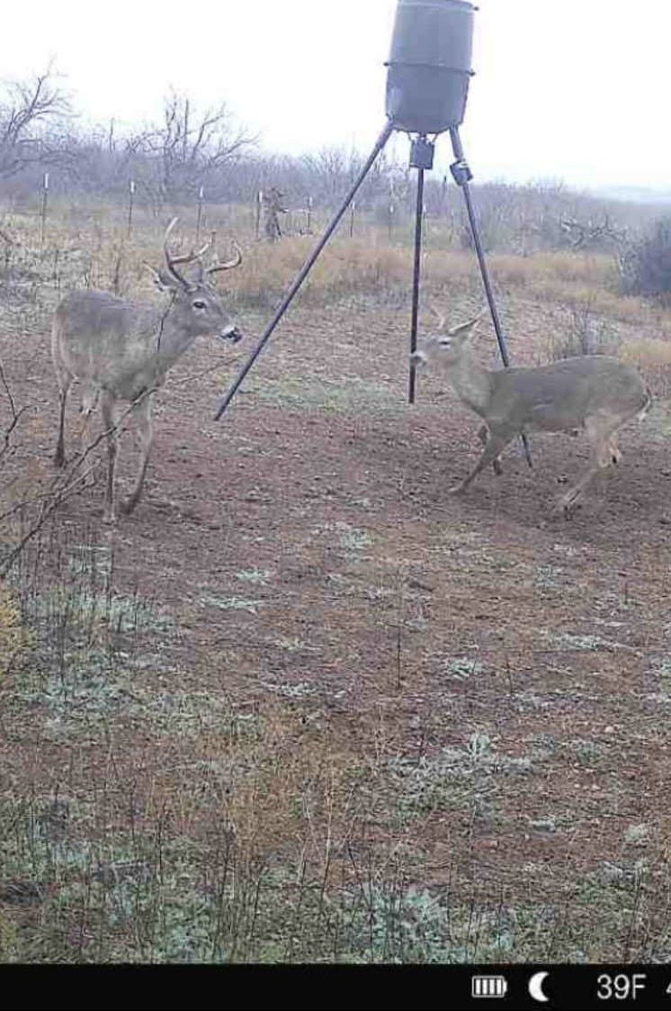 11.85 acres in Taylor County - photo 38