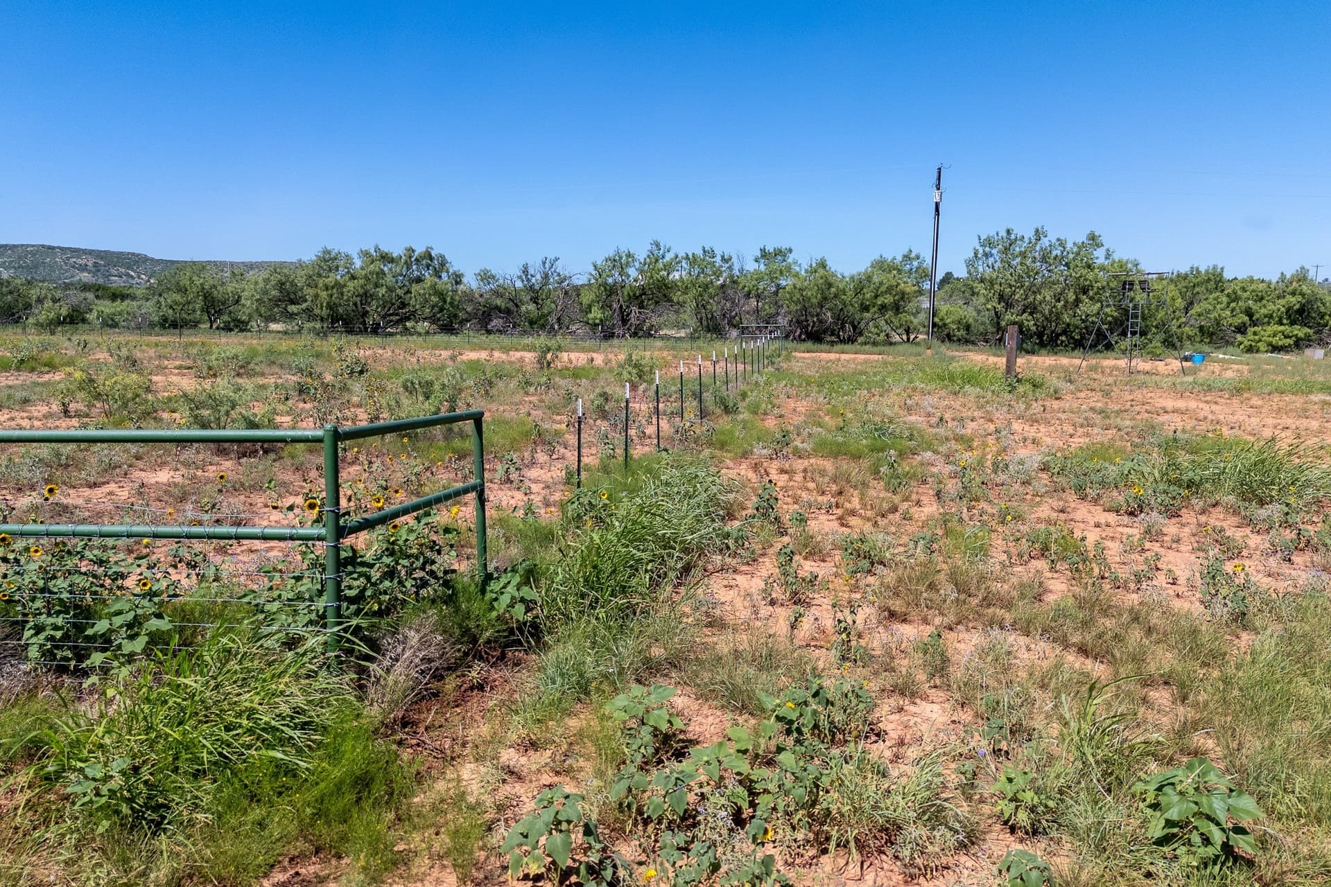 11.85 acres in Taylor County - photo 10