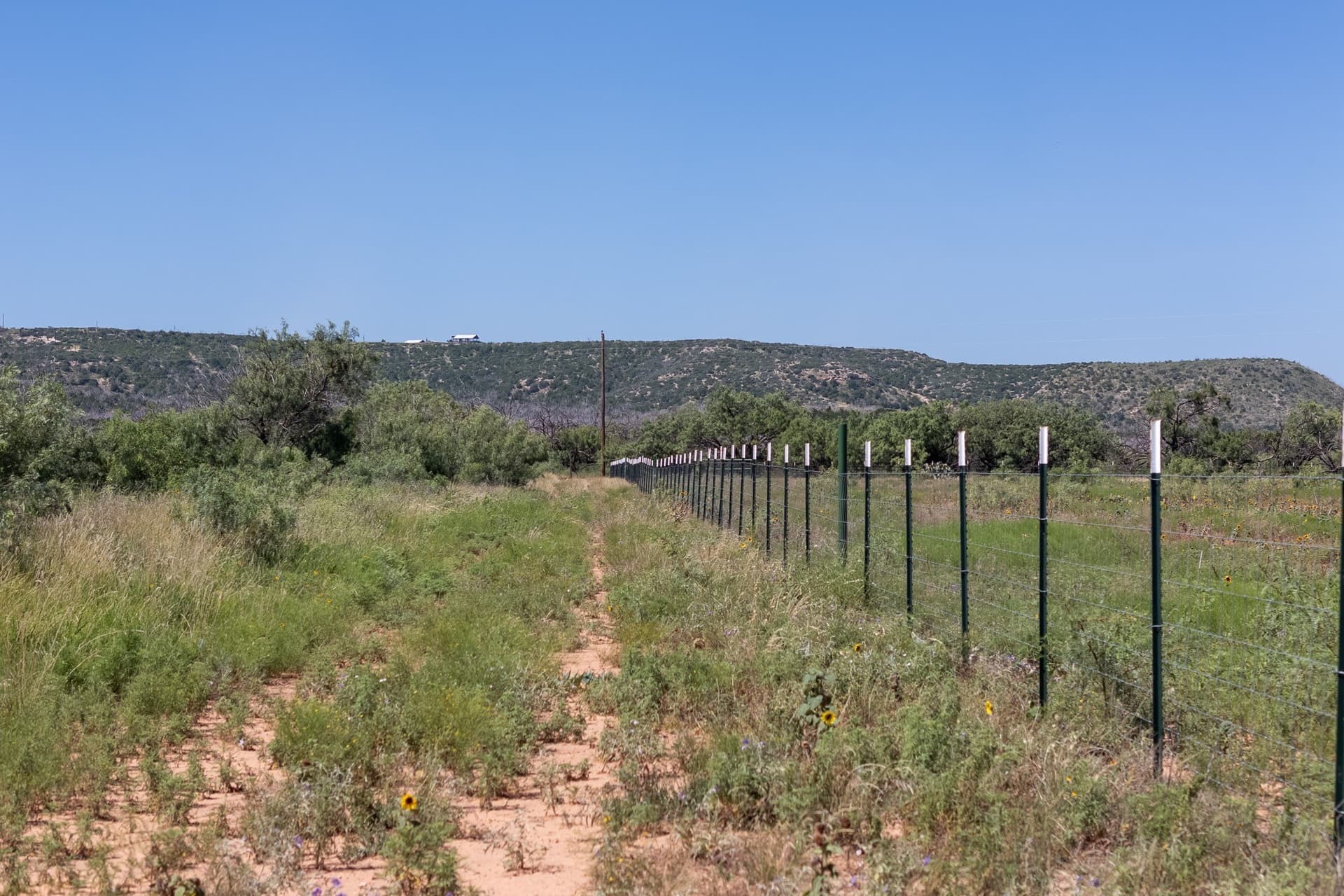 11.85 acres in Taylor County - photo 4