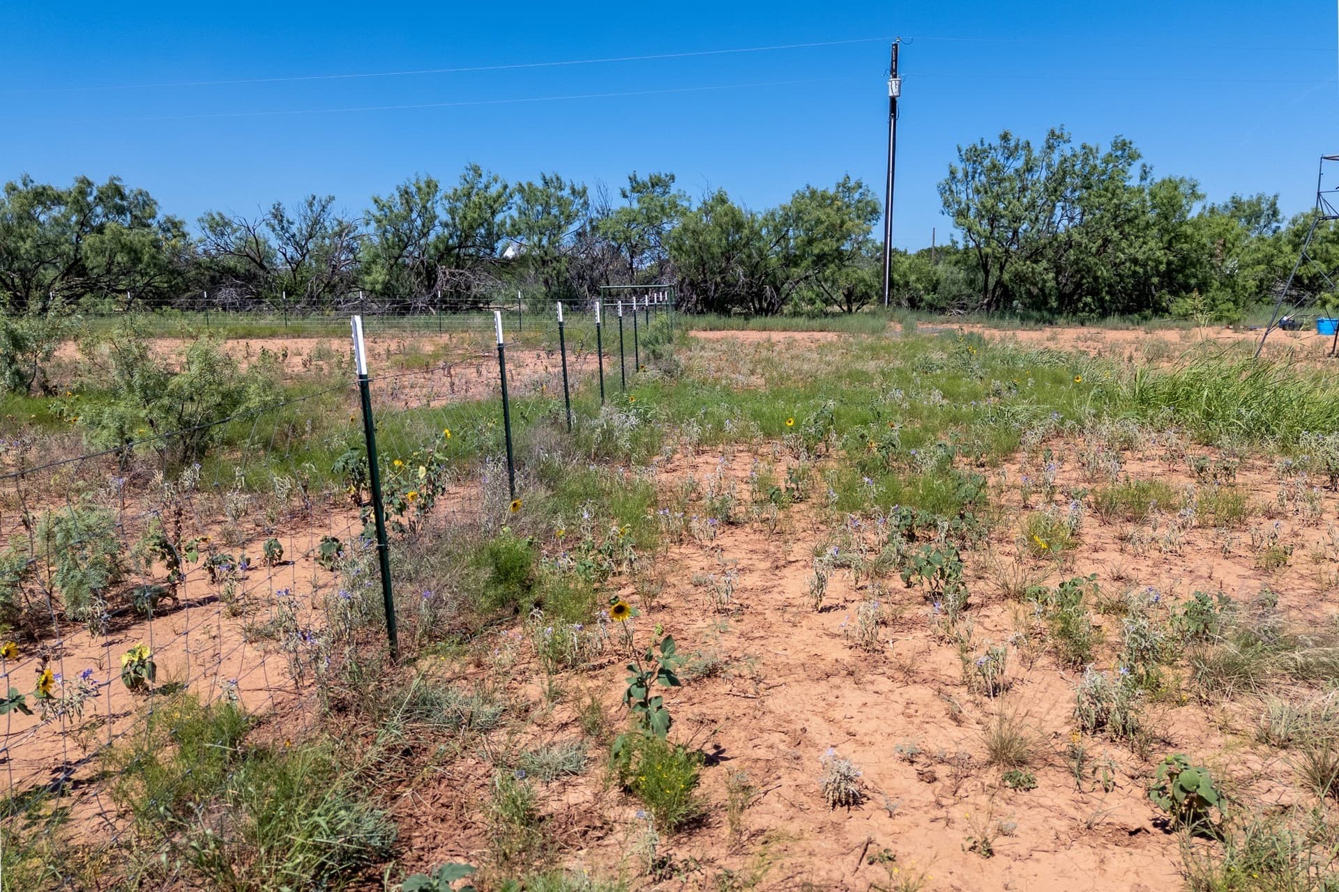 11.85 acres in Taylor County - photo 14