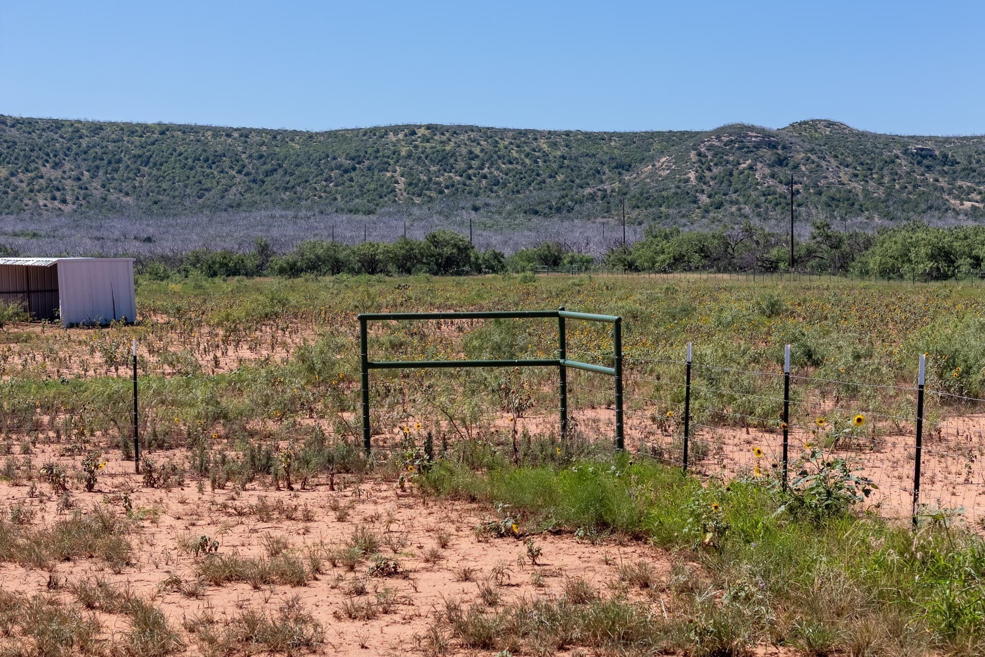 11.85 acres in Taylor County - photo 7