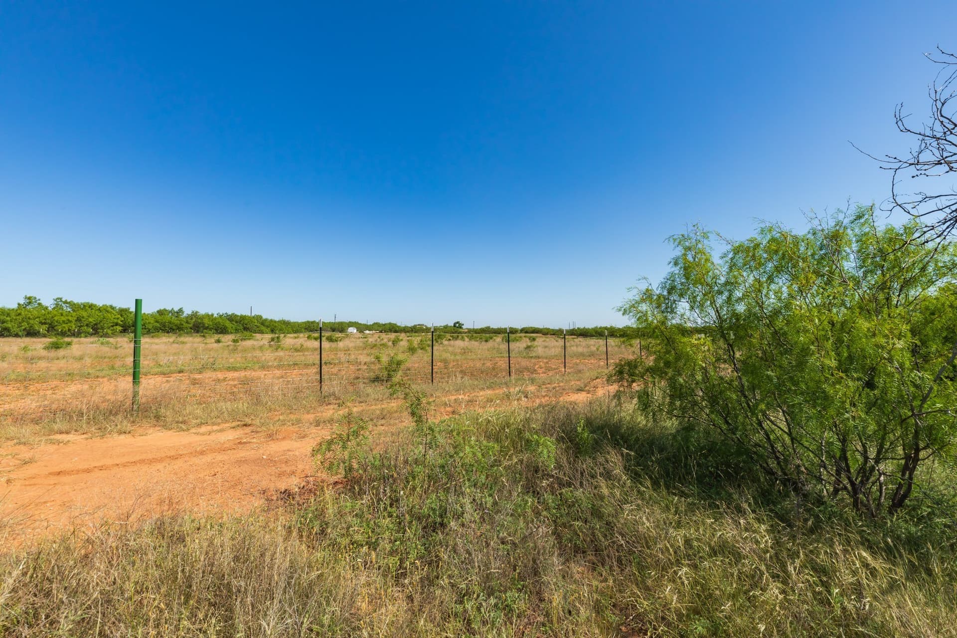11.85 acres in Taylor County gallery image 4